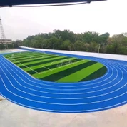 Gibrid stadion-o'ziga xos sport sirti